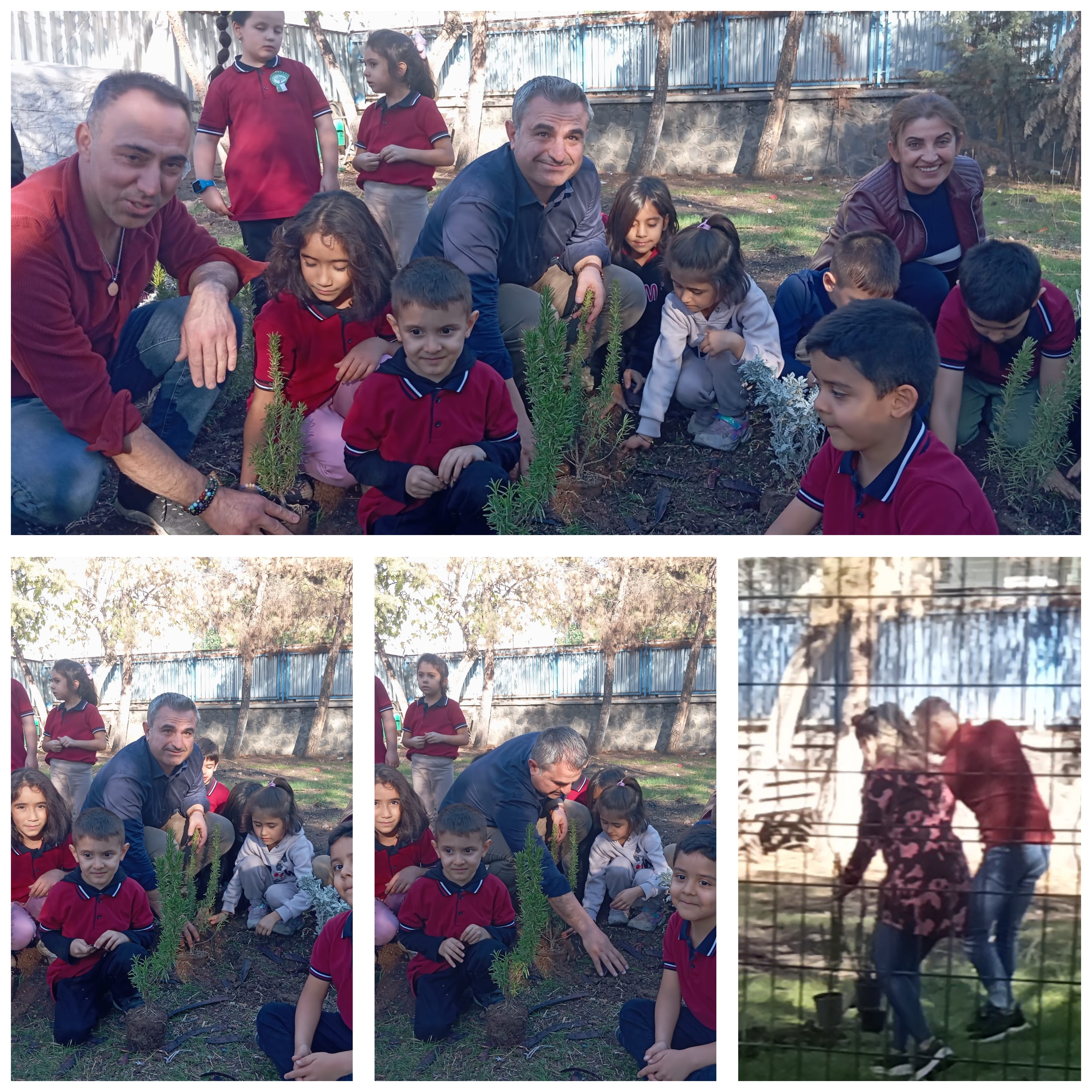 Veli Seminerleri ve Uygulamaları