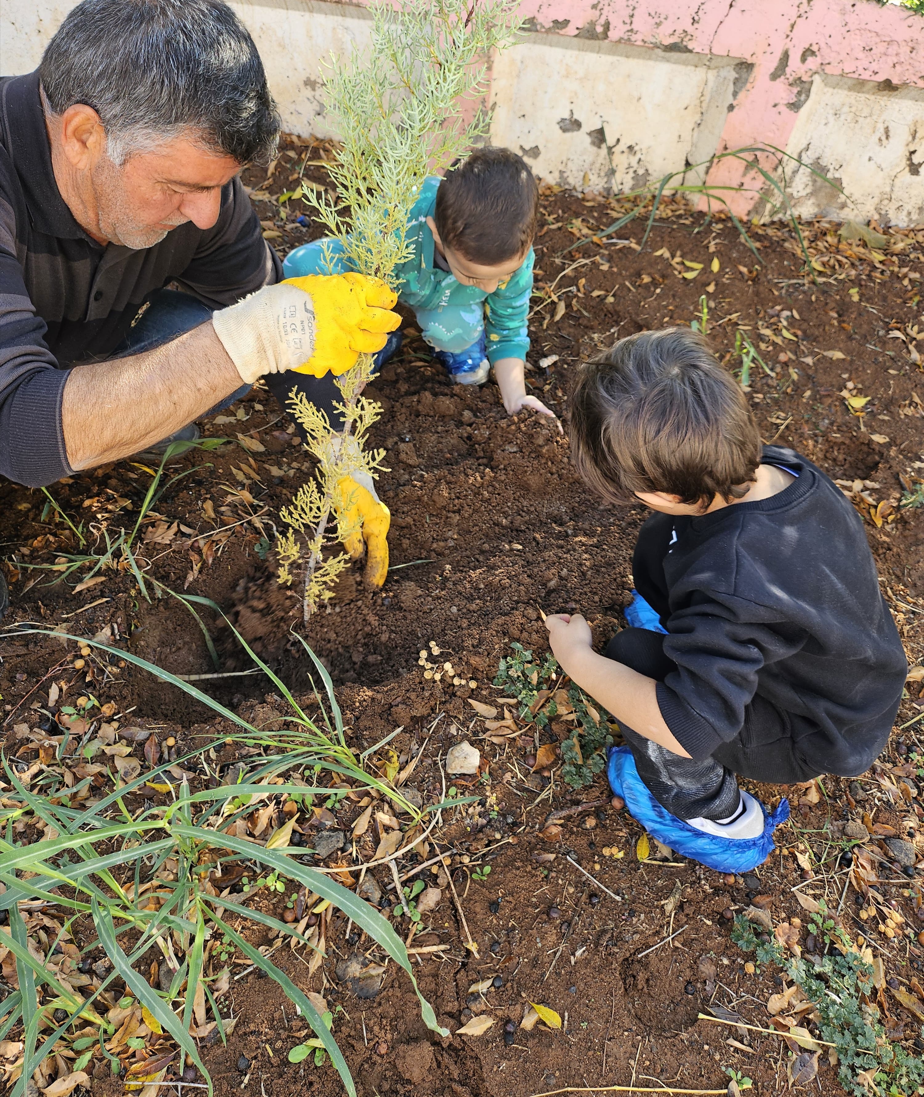 Yeşil Alan Uygulamaları