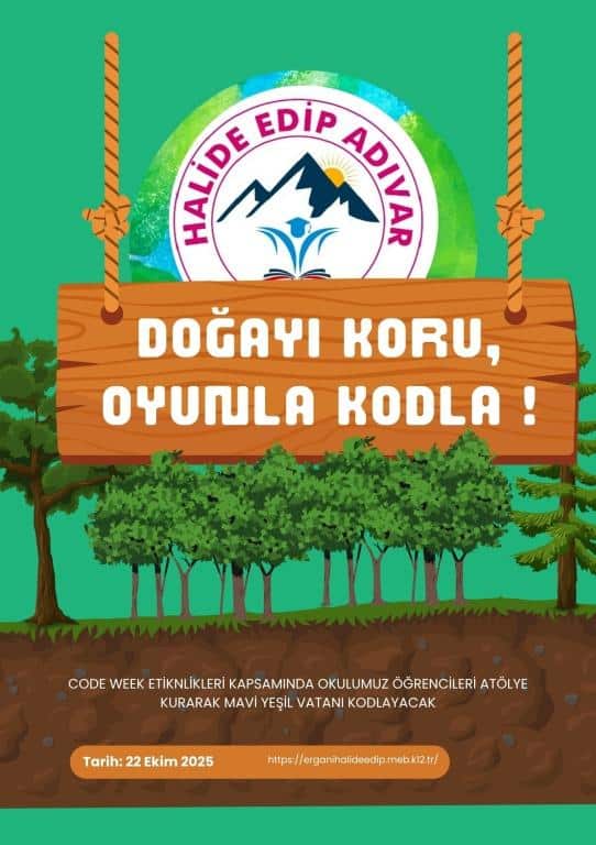 Dergi, Poster veya Broşür