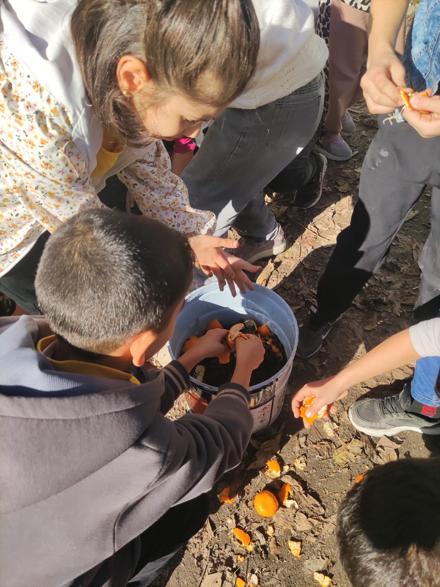 Yeşil Alan Uygulamaları