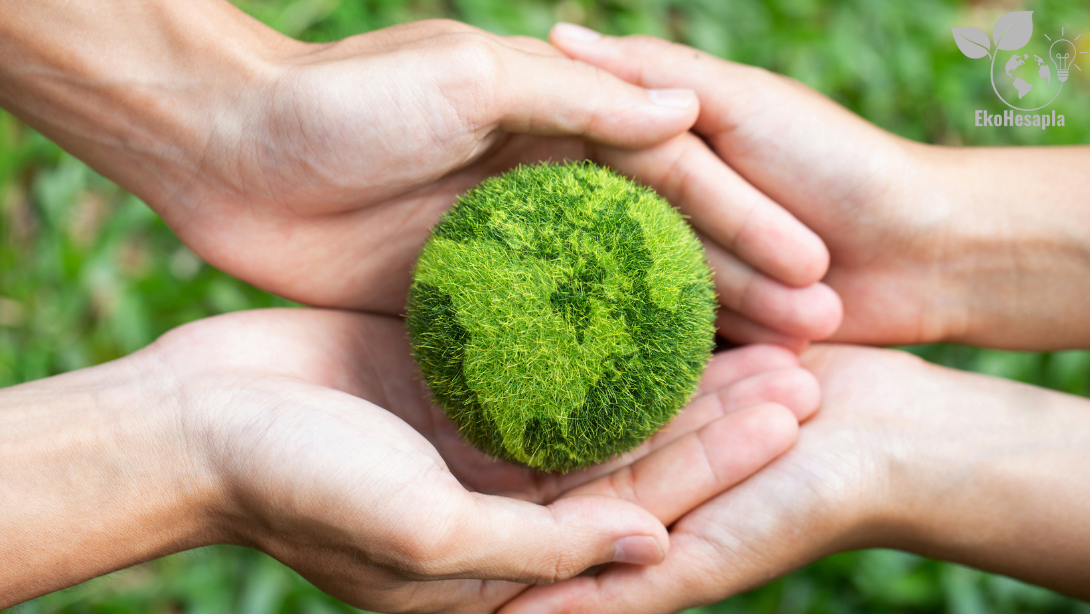 Okullarımız Eko Bülten’de Çalışmalarını Paylaşmaya Başladı